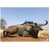Image 7 : Limcroma Safaris Donate this incredible 10-day plains game hunt for 2 hunters. Valued at $14,000