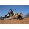 Image 4 : Wildest International Safaris donates a 6-day hunt for Namibia Oryx and Warthog for 3 hunters