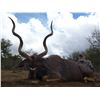 Image 1 : Andrew Harvey donates 7 Day hunt for 1 Hunter & 1 Observer for 1 Cape Kudu & Taxidermy. Val. $7,400