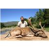 Image 5 : Andrew Harvey donates 7 Day hunt for 1 Hunter & 1 Observer for 1 Cape Kudu & Taxidermy. Val. $7,400