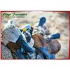 Image 2 : Dove hunt by HP Wingshooting adventures, 4 hunters / 4 days. In Cordoba Argentina Value $6,400.00