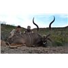 Image 6 : Mankazana Safari donates a 10-day hunt South Africa's Eastern Cape for 1 or 2 hunters Value$7,450.