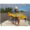 Image 1 : Nomad Outfitters Donates 4 Full Days Golden Dorado Fishing Trip for 2 Anglers Value $9,000.