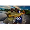 Image 2 : Nomad Outfitters Donates 4 Full Days Golden Dorado Fishing Trip for 2 Anglers Value $9,000.