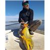 Image 3 : Nomad Outfitters Donates 4 Full Days Golden Dorado Fishing Trip for 2 Anglers Value $9,000.