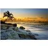 Image 4 : Caribbean Getaway for 7 Days, 6 Nights for 2 People