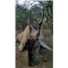 Image 8 : GC Duplesis of Marupa Safaris donates a 10-day (8 hunt days) plains game hunt for 2 hunters.