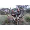 Image 2 : Argenhunts invites two hunters to travel to Argentina for a world-class 5-day, Big Game Hunt.