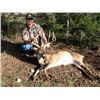 Image 6 : L& L Adventures donates a Texas Trophy Whitetail Hunt for two hunters Valued at $9500