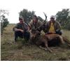 Image 7 : L& L Adventures donates a Texas Trophy Whitetail Hunt for two hunters Valued at $9500