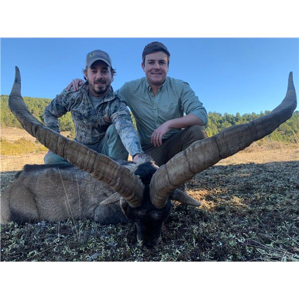 WILD HUNTING SPAIN donates PYRENEAN CHAMOIS hunt, for ONE HUNTER and ONE NON-HUNTER.