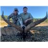 Image 1 : WILD HUNTING SPAIN donates PYRENEAN CHAMOIS hunt, for ONE HUNTER and ONE NON-HUNTER.