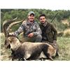 Image 2 : WILD HUNTING SPAIN donates PYRENEAN CHAMOIS hunt, for ONE HUNTER and ONE NON-HUNTER.