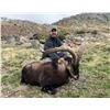Image 3 : WILD HUNTING SPAIN donates PYRENEAN CHAMOIS hunt, for ONE HUNTER and ONE NON-HUNTER.