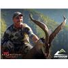 Image 5 : WILD HUNTING SPAIN donates PYRENEAN CHAMOIS hunt, for ONE HUNTER and ONE NON-HUNTER.