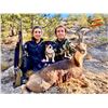 Image 6 : WILD HUNTING SPAIN donates PYRENEAN CHAMOIS hunt, for ONE HUNTER and ONE NON-HUNTER.