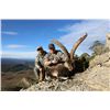 Image 7 : WILD HUNTING SPAIN donates PYRENEAN CHAMOIS hunt, for ONE HUNTER and ONE NON-HUNTER.