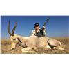 Image 1 : Van Wijk Safaris donates a 10-day hunt for 2 hunters & two observers in South Africa Value $11,400.