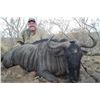 Image 8 : Van Wijk Safaris donates a 10-day hunt for 2 hunters & two observers in South Africa Value $11,400.