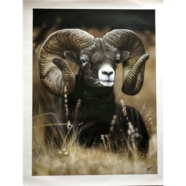 The 2020 SCI Artist of the Year limited edition, artist signed print, "Mountain Ram" by Clint Eager