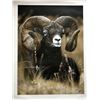 Image 1 : The 2020 SCI Artist of the Year limited edition, artist signed print, "Mountain Ram" by Clint Eager