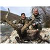 Image 1 : Red Stag Hunt in Spain valued at $8,600