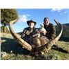 Image 3 : Red Stag Hunt in Spain valued at $8,600