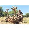 Image 11 : Catena Safaris donates a Blackbuck and Wild Boar Hunt in Patagonia (3) Hunters Value$10,200.