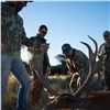 Image 2 : Catena Safaris donates a Blackbuck and Wild Boar Hunt in Patagonia (3) Hunters Value$10,200.
