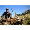 Image 8 : Catena Safaris donates a Blackbuck and Wild Boar Hunt in Patagonia (3) Hunters Value$10,200.