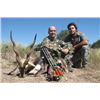 Image 9 : Catena Safaris donates a Blackbuck and Wild Boar Hunt in Patagonia (3) Hunters Value$10,200.