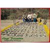 Image 2 : HP Wing shooting Adventures donates a 4 full days bird hunt in Cordoba for 2 hunters. Value $3,200.