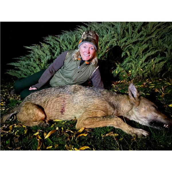 EHA has donated a WOLF HUNT IN MACEDONIA for 2 hunters, or 1 hunter & 1 observer Valued at $6,600