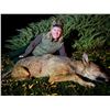 Image 1 : EHA has donated a WOLF HUNT IN MACEDONIA for 2 hunters, or 1 hunter & 1 observer Valued at $6,600