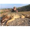 Image 2 : EHA has donated a WOLF HUNT IN MACEDONIA for 2 hunters, or 1 hunter & 1 observer Valued at $6,600