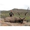 Image 4 : Leopard’s Valley Safaris has donated a 10-day plains game hunt for two hunters Valued at $13,000