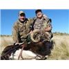 Image 2 : 7 Day Argentinian Hunt for 2 Hunters – TX Dall Ram, Wild Boar & Hybrid Sheep. Value $12,500.
