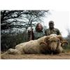 Image 3 : 7 Day Argentinian Hunt for 2 Hunters – TX Dall Ram, Wild Boar & Hybrid Sheep. Value $12,500.