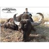 Image 5 : 7 Day Argentinian Hunt for 2 Hunters – TX Dall Ram, Wild Boar & Hybrid Sheep. Value $12,500.