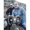 Image 1 : Spanish Mountain Hunts donates 1 MOUFLON SHEEP, 1 FALLOW DEER or 1 IBERIAN RED DEER (Hunter choice)
