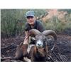 Image 2 : Spanish Mountain Hunts donates 1 MOUFLON SHEEP, 1 FALLOW DEER or 1 IBERIAN RED DEER (Hunter choice)