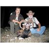 Image 3 : Spanish Mountain Hunts donates 1 MOUFLON SHEEP, 1 FALLOW DEER or 1 IBERIAN RED DEER (Hunter choice)