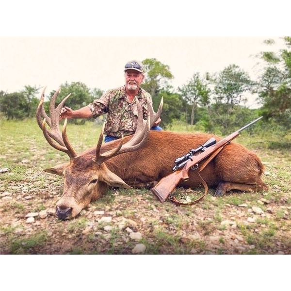 Trophy Exotic Hunt for 2- 5 Hunters donated by L& L Adventures Value $7,500