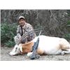 Image 2 : Trophy Exotic Hunt for 2- 5 Hunters donated by L& L Adventures Value $7,500