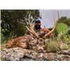 Image 4 : Trophy Exotic Hunt for 2- 5 Hunters donated by L& L Adventures Value $7,500