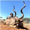 Image 8 : Bronkhorst Safari's donates African Hook & Barrell Safari for 2 Hunters & 2 Observers Value $15,840.
