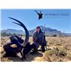 Image 10 : Leopard's Valley donates a 7-day 1x1 Sable Bull Hunt in Eastern Cape South Africa VALUE: $8300