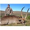 Image 2 : Leopard's Valley donates a 7-day 1x1 Sable Bull Hunt in Eastern Cape South Africa VALUE: $8300