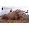 Image 9 : Leopard's Valley donates a 7-day 1x1 Sable Bull Hunt in Eastern Cape South Africa VALUE: $8300