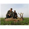 Image 2 : Roe Deer Hunt in Serbia donated by European Hunting Adventures for 2 Hunters Value $6,600.